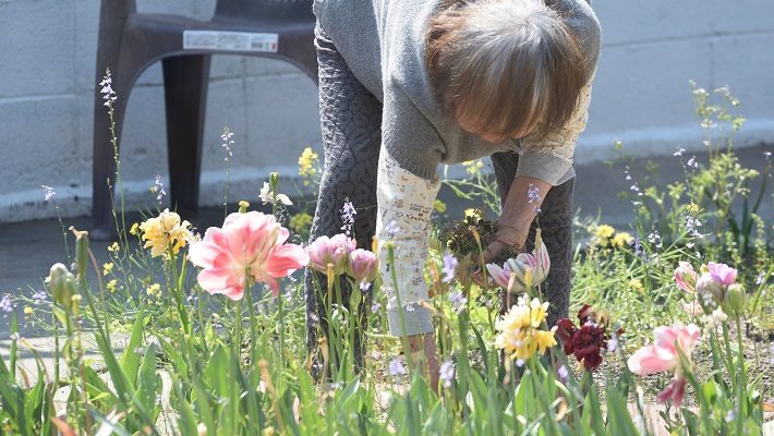 中庭の花の世話を行うご利用者さま